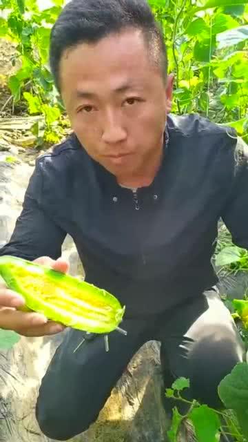 和好友吃瓜,吃瓜聊翻天！  第3张